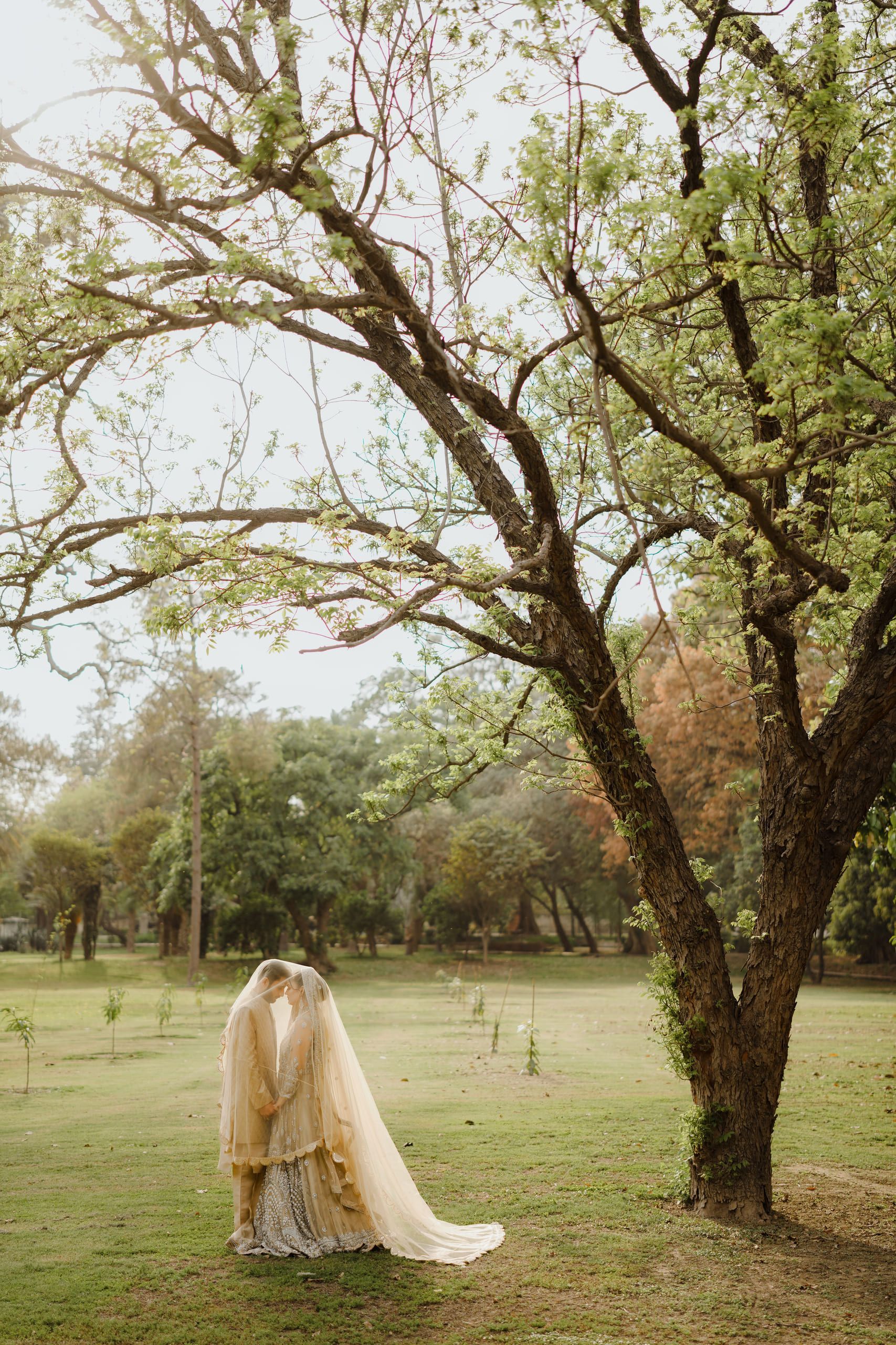 Bride beneath a large tree with a flowing veil, outdoor Lahore bridal portrait